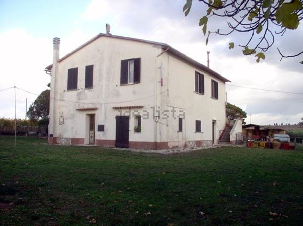 esavano in vendita a Pitigliano