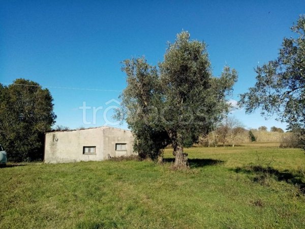 casa indipendente in vendita a Pitigliano