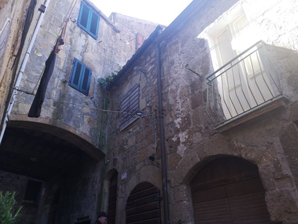 appartamento in vendita a Pitigliano