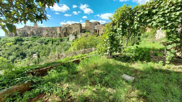 appartamento in vendita a Pitigliano