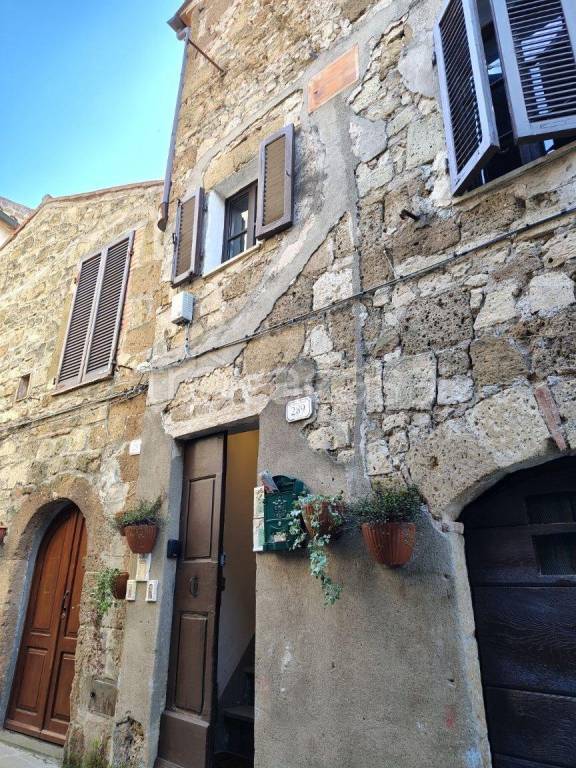 appartamento in vendita a Pitigliano