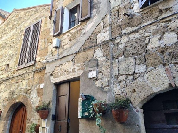 appartamento in vendita a Pitigliano
