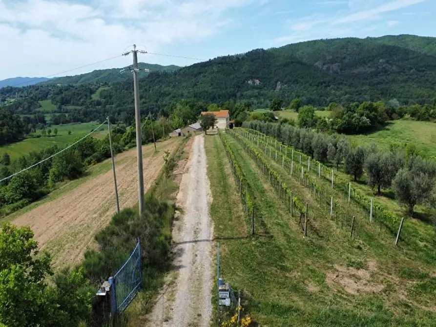 casale in vendita a Pitigliano