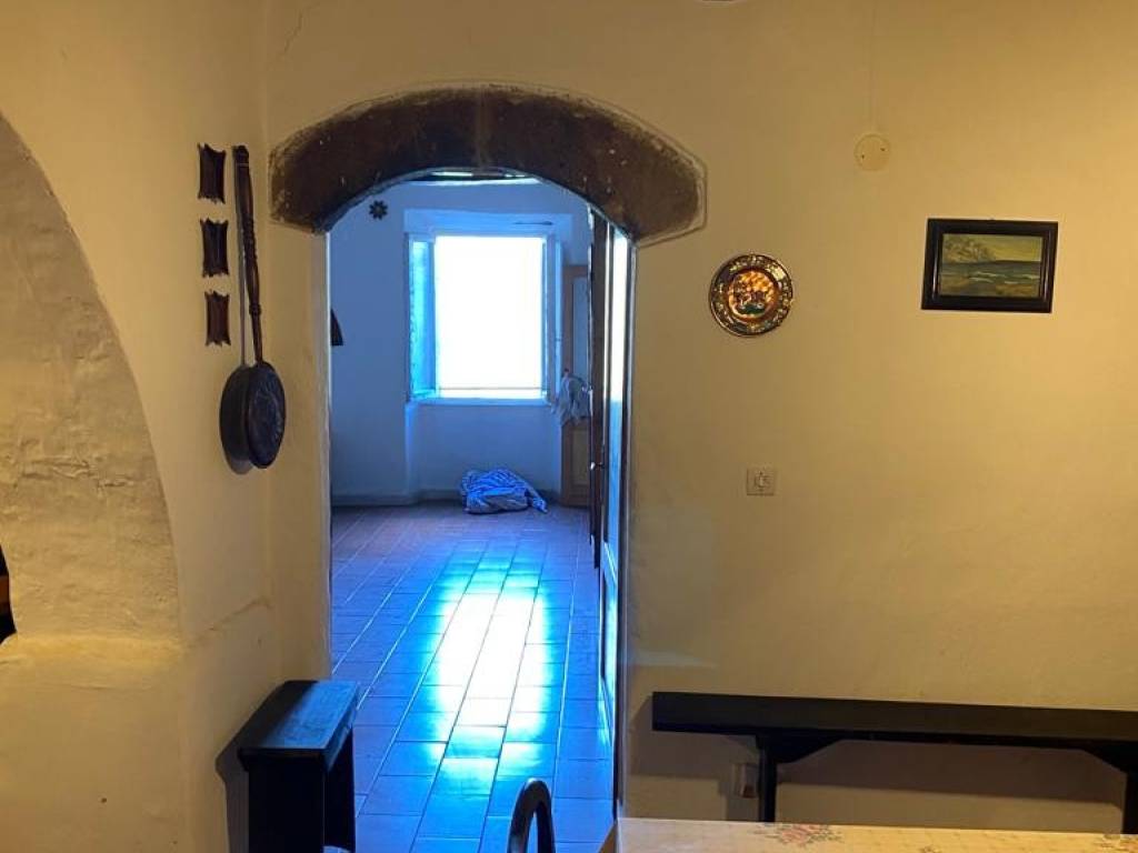 appartamento in vendita a Pitigliano