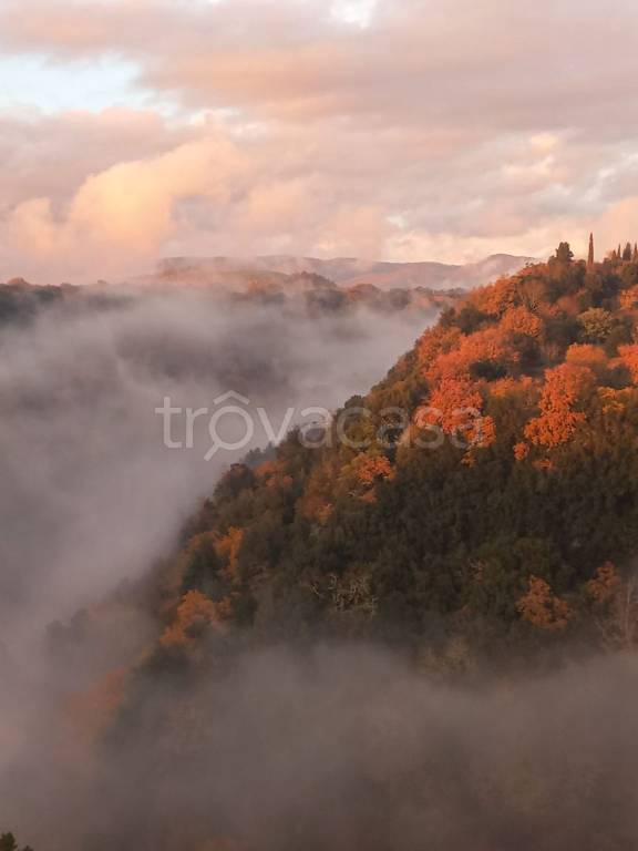 appartamento in vendita a Pitigliano