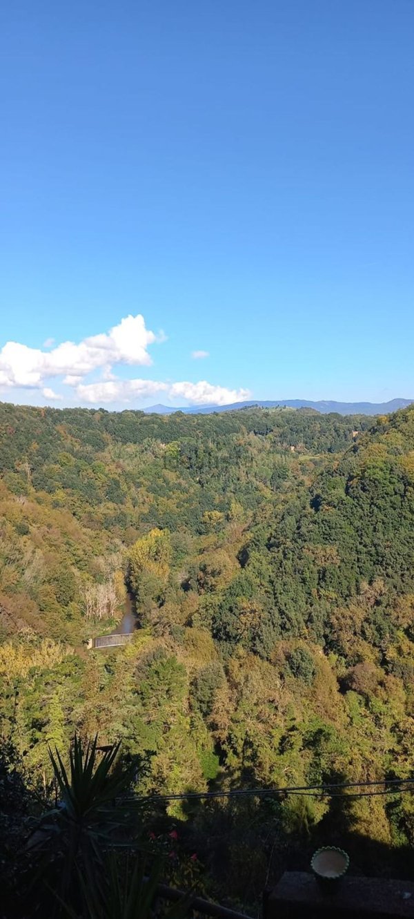 appartamento in vendita a Pitigliano