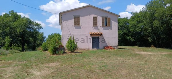 esavano in vendita a Pitigliano