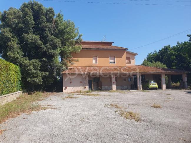 negozio in vendita a Pitigliano