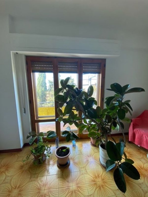 appartamento in vendita a Pitigliano