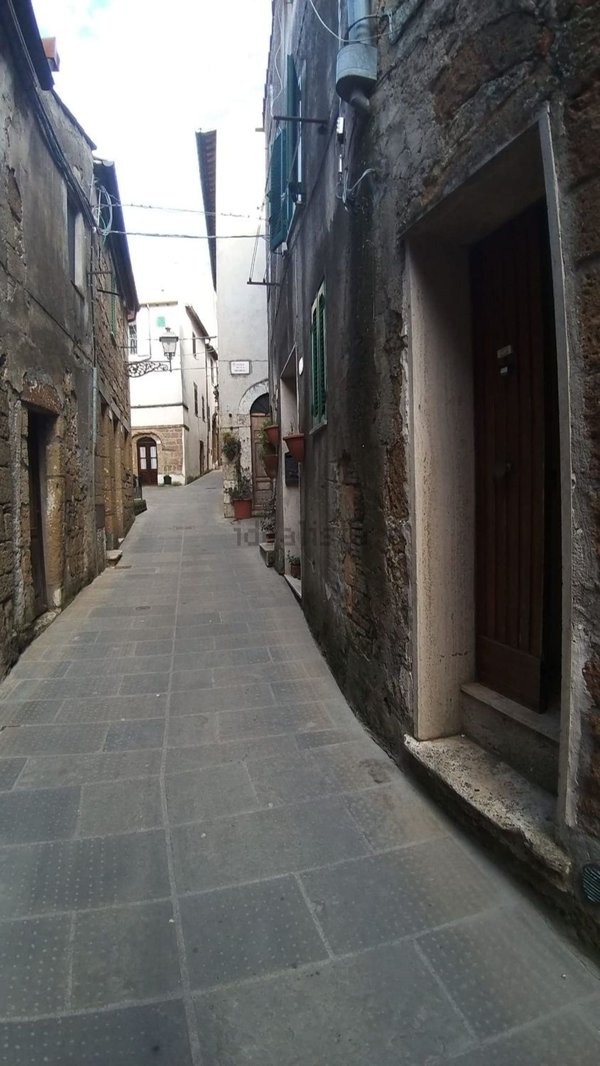 appartamento in vendita a Pitigliano