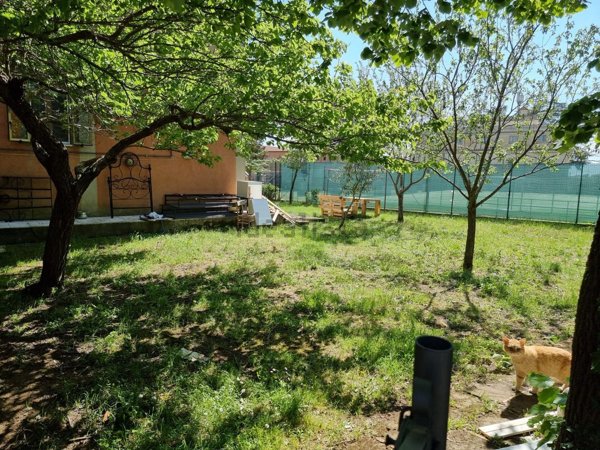 appartamento in vendita a Pitigliano