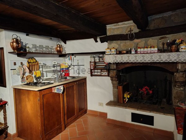 appartamento in vendita a Pitigliano