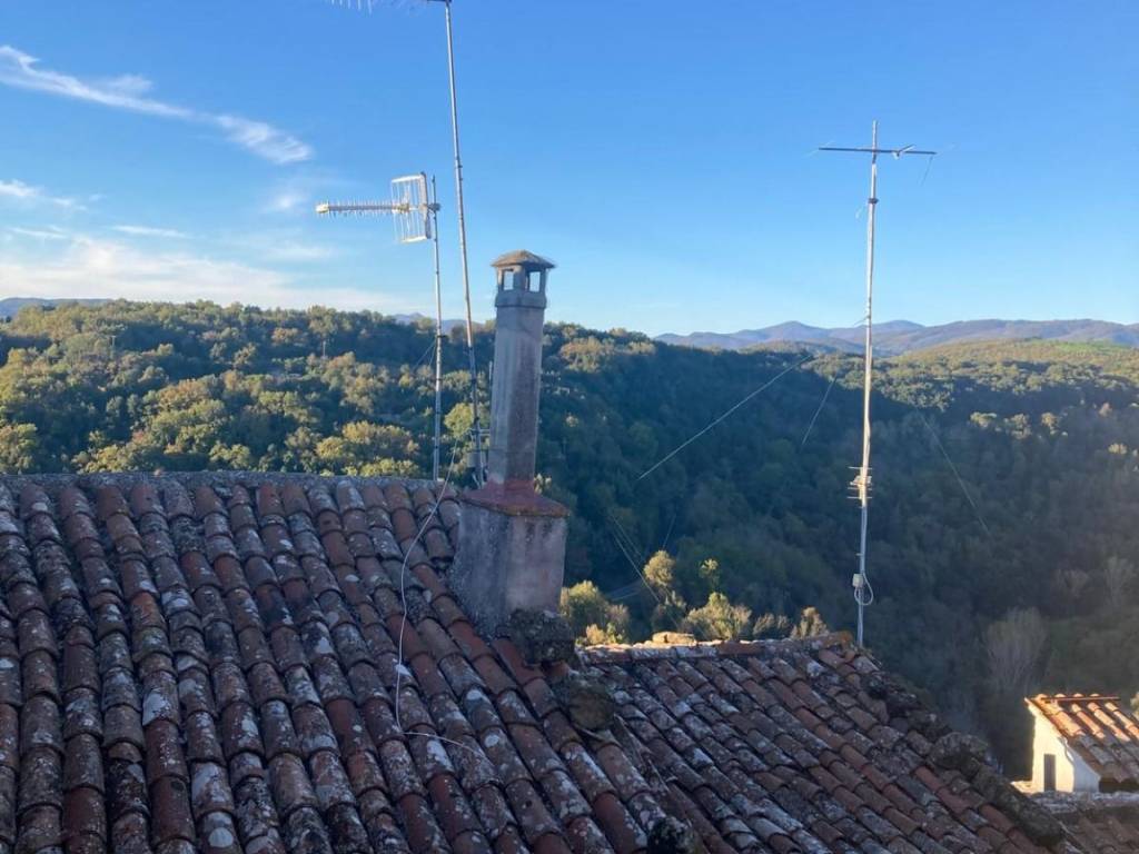 appartamento in vendita a Pitigliano