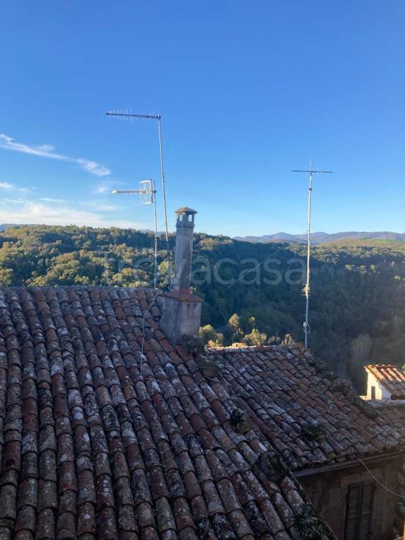 appartamento in vendita a Pitigliano