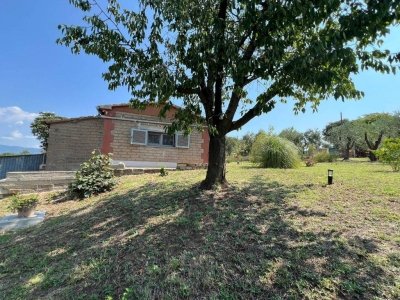 terreno agricolo in vendita a Pitigliano