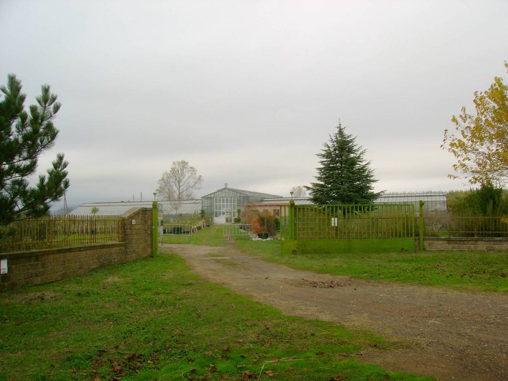 negozio in vendita a Pitigliano