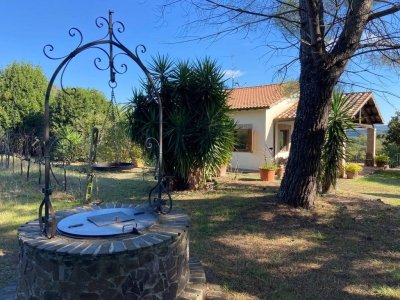 casa indipendente in vendita a Pitigliano