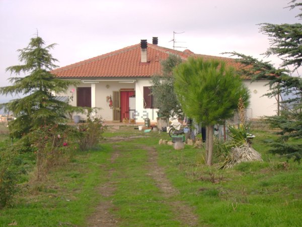 azienda agricola in vendita a Pitigliano