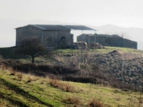esavano in vendita a Pitigliano