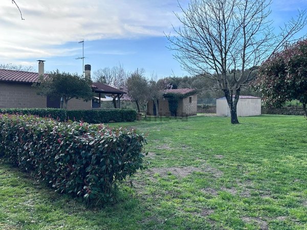 appartamento in vendita a Pitigliano