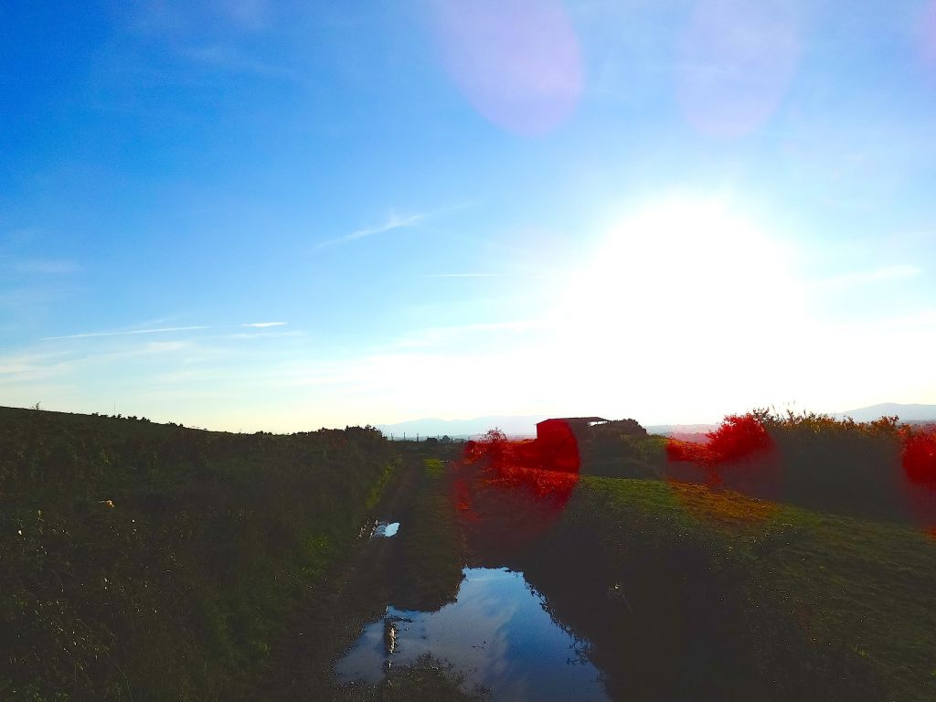 negozio in vendita a Pitigliano