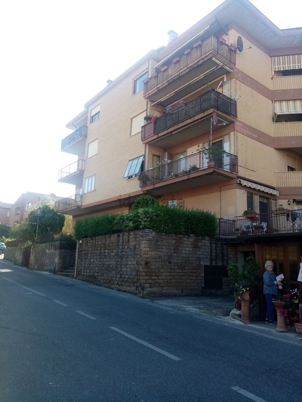 appartamento in vendita a Pitigliano