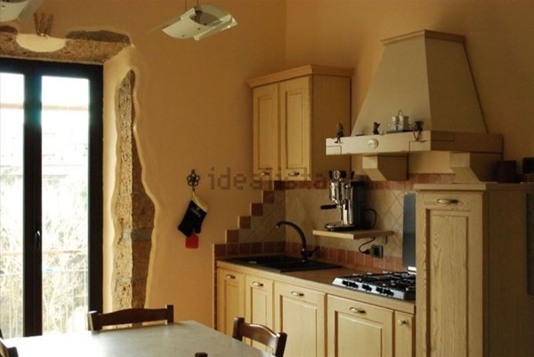 appartamento in vendita a Pitigliano