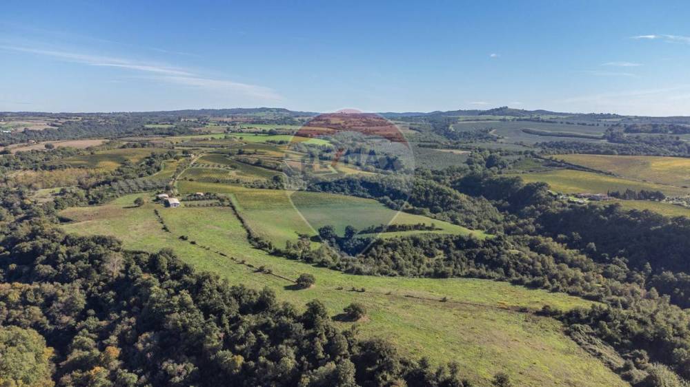 terreno agricolo in vendita a Pitigliano