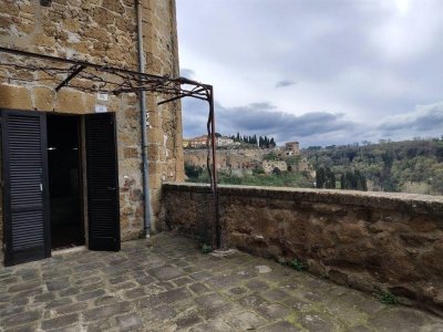 appartamento in vendita a Pitigliano