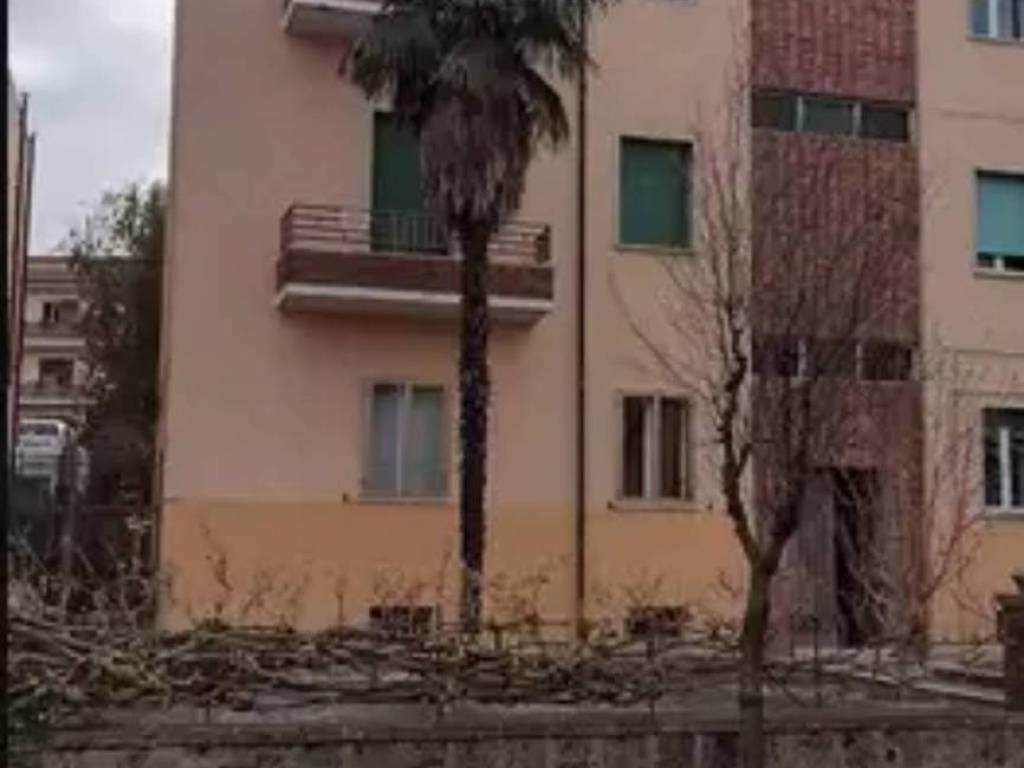 appartamento in vendita a Pitigliano