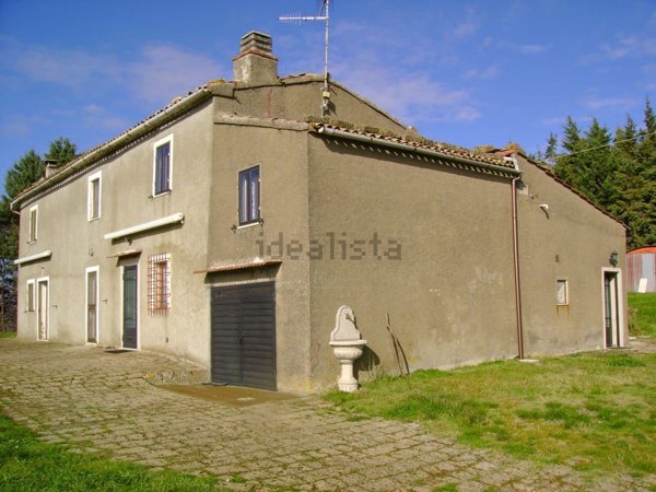 appartamento in vendita a Pitigliano