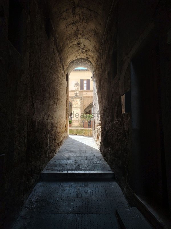 appartamento in vendita a Pitigliano