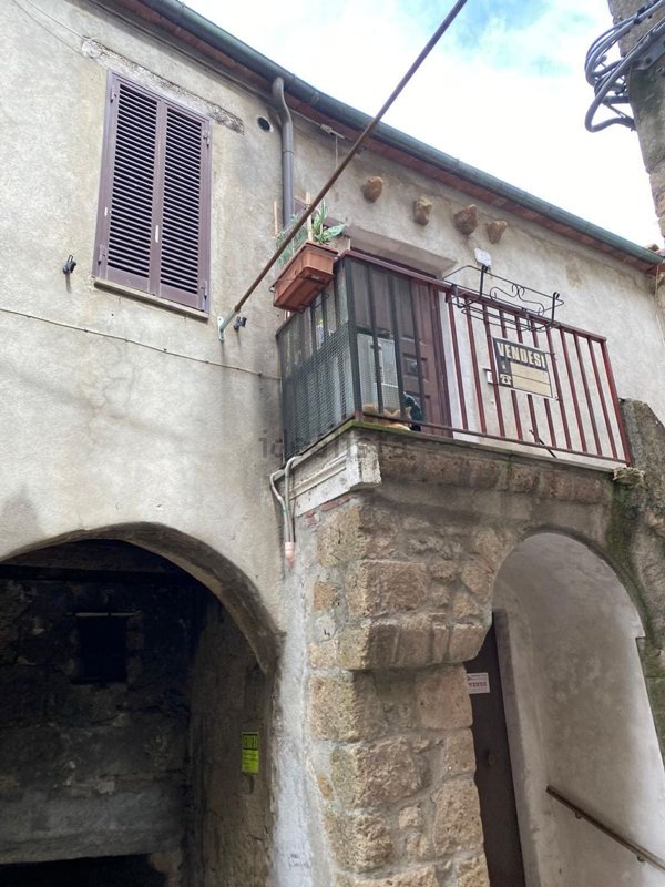 appartamento in vendita a Pitigliano