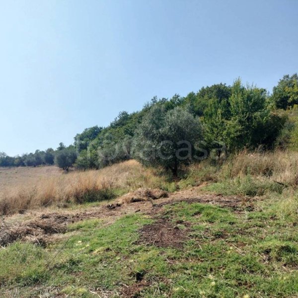 casa indipendente in vendita a Pitigliano