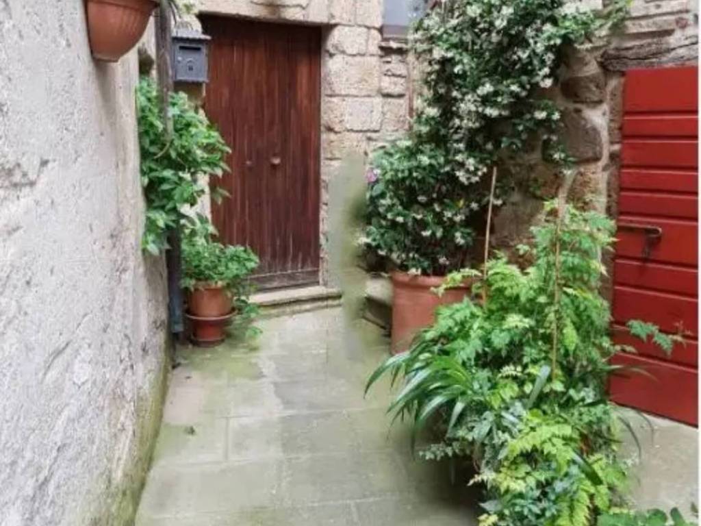 appartamento in vendita a Pitigliano