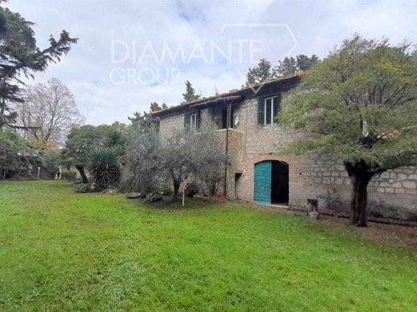 azienda agricola in vendita a Pitigliano