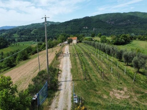casale in vendita a Pitigliano