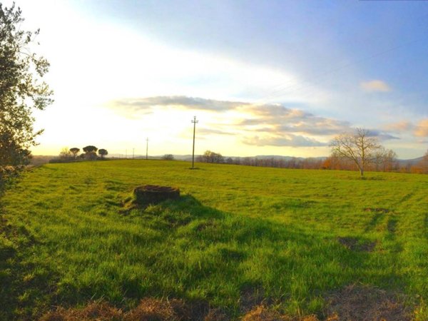 terreno agricolo in vendita a Pitigliano