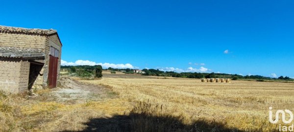 terreno agricolo in vendita a Pitigliano