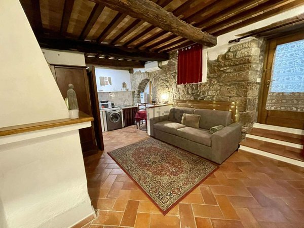 appartamento in vendita a Pitigliano