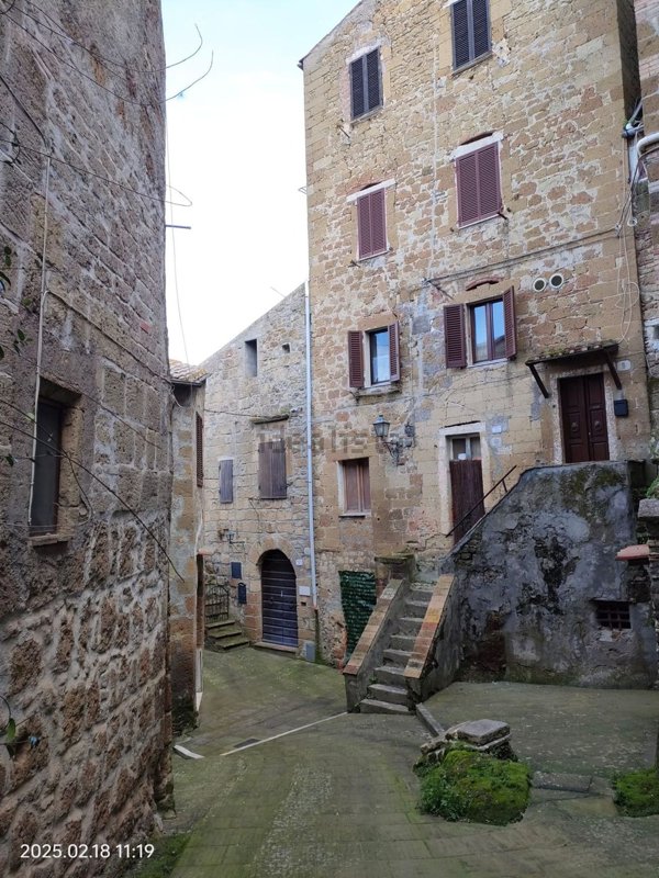 appartamento in vendita a Pitigliano