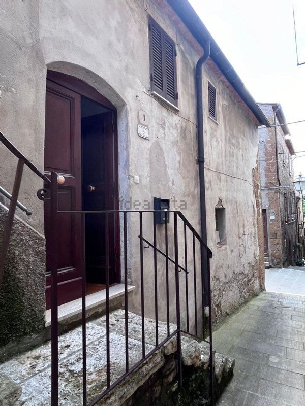 appartamento in vendita a Pitigliano