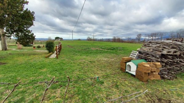 terreno agricolo in vendita a Pitigliano