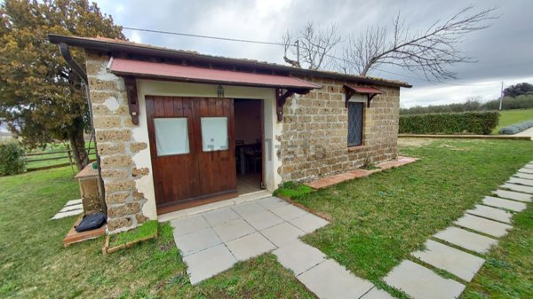 appartamento in vendita a Pitigliano