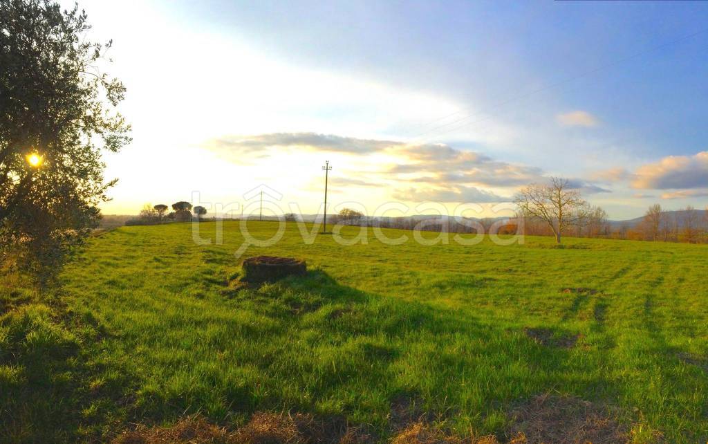 terreno agricolo in vendita a Pitigliano