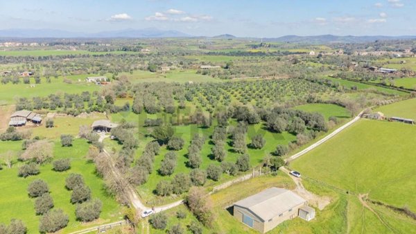 terreno agricolo in vendita a Pitigliano