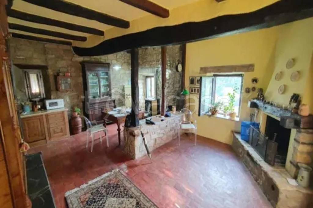 appartamento in vendita a Pitigliano