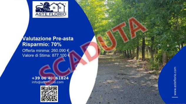 pentavano in vendita a Pitigliano