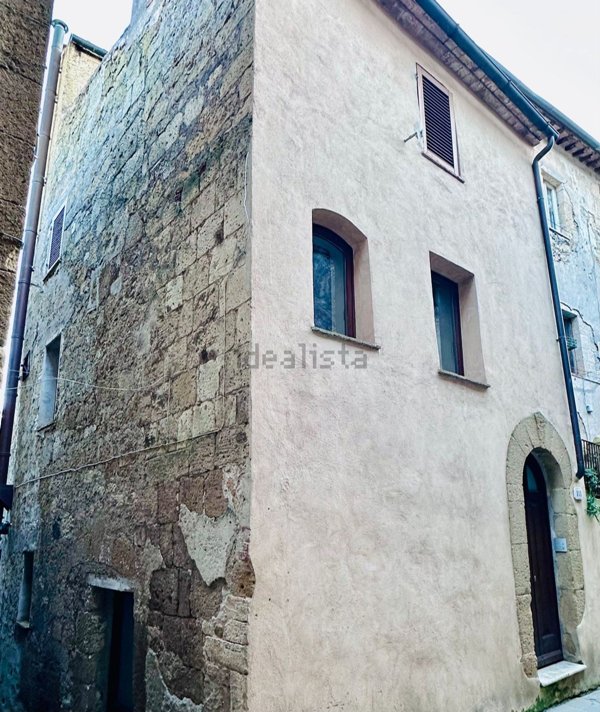 appartamento in vendita a Pitigliano