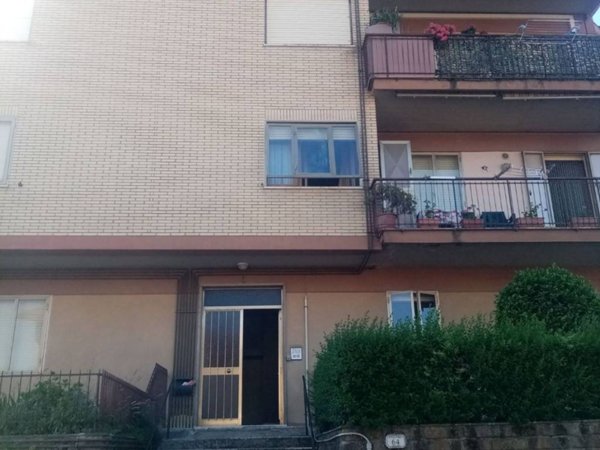 appartamento in vendita a Pitigliano